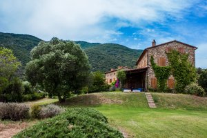 Bike Friendly Boschi di Montecalvi Tuscany