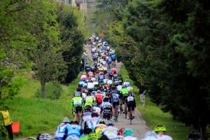 Bike Hotel Sportur Cervia